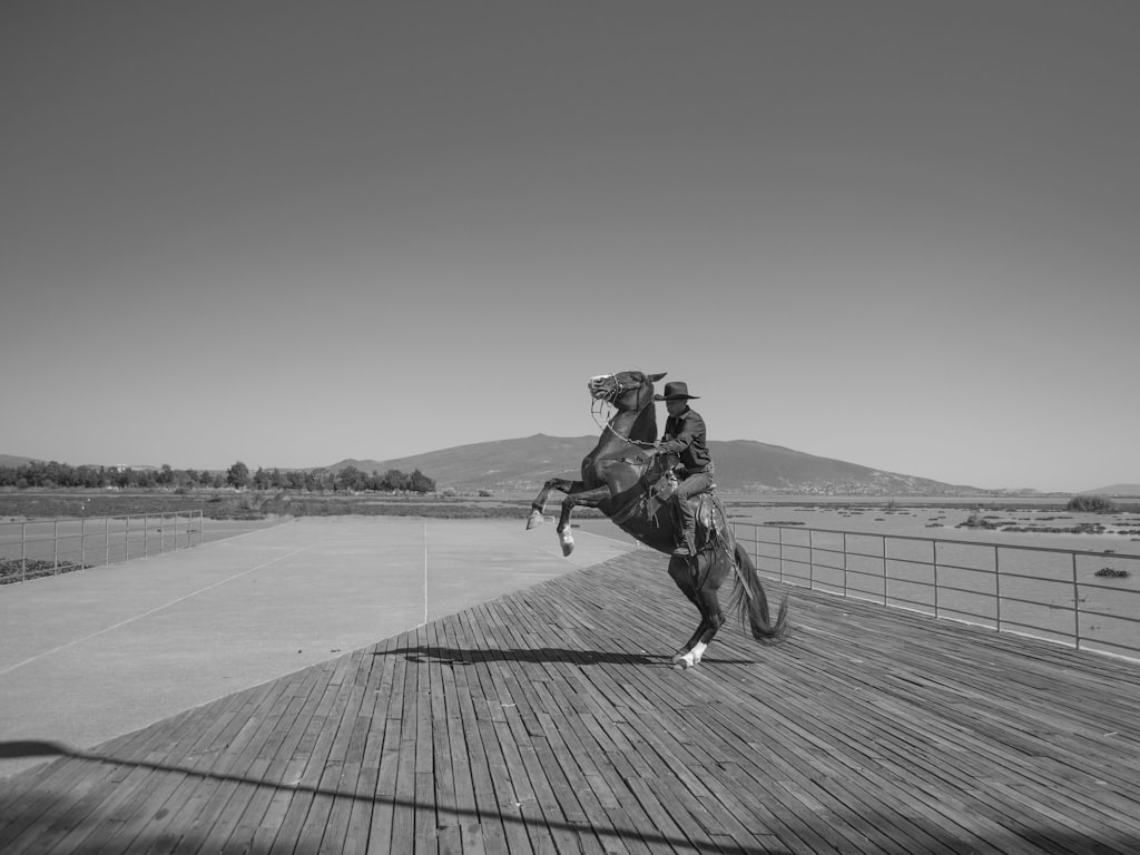 HappyHorse lip sync multilingual vs broader open-source AI video options