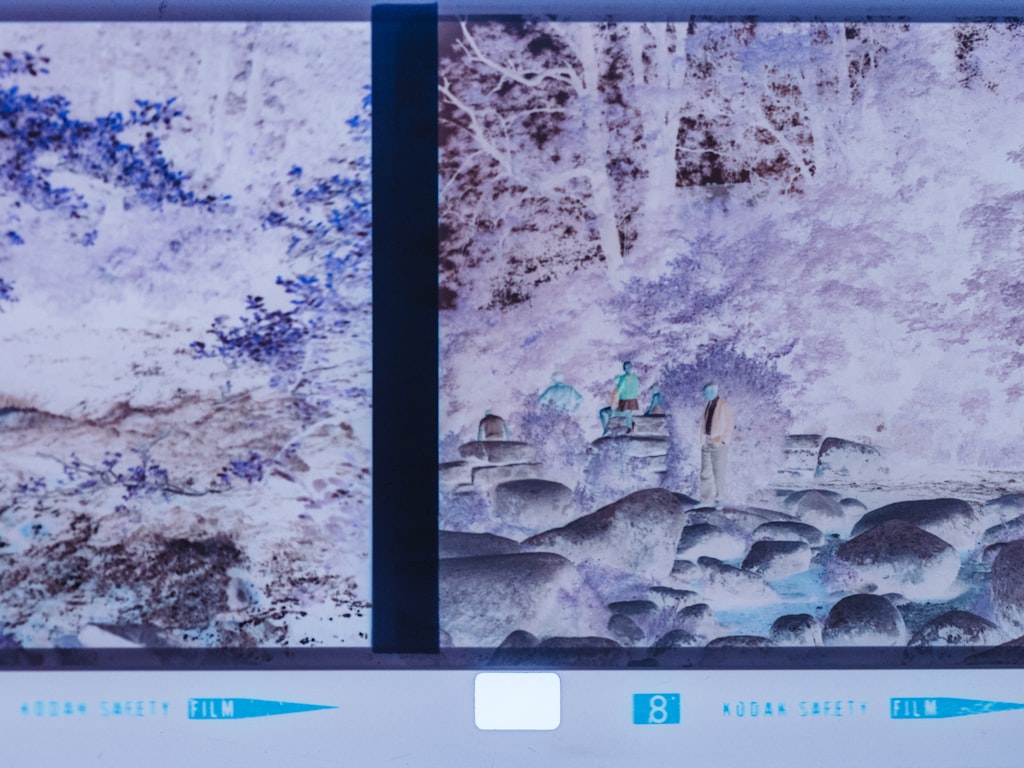 HappyHorse vs HunyuanVideo: Final Recommendation by User Type